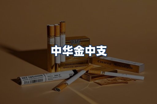 中华金中支